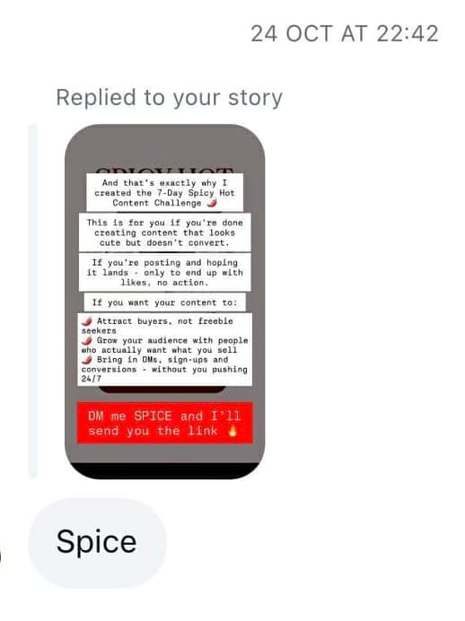 Instagram story replies — followers answering the SPICE prompt and asking for the link