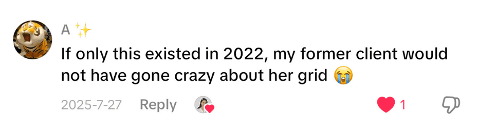 Instagram comment: If only this existed in 2022, my former client would not have gone crazy about her grid